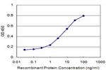 CCT7 Antibody in ELISA (ELISA)