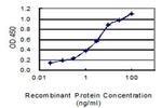 SPAG5 Antibody in ELISA (ELISA)