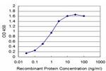 TRIM16 Antibody in ELISA (ELISA)