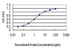 KLF1 Antibody in ELISA (ELISA)