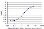 KLF1 Antibody in ELISA (ELISA)