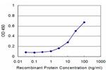 PNMA2 Antibody in ELISA (ELISA)