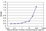 POLQ Antibody in ELISA (ELISA)