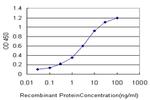 FUSIP1 Antibody in ELISA (ELISA)