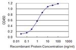 SEPT9 Antibody in ELISA (ELISA)