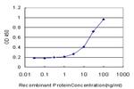 HPSE Antibody in ELISA (ELISA)