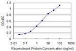 CYP46A1 Antibody in ELISA (ELISA)