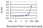 PRSS21 Antibody in ELISA (ELISA)