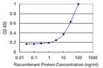 PLEKHC1 Antibody in ELISA (ELISA)