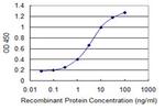 IL24 Antibody in ELISA (ELISA)