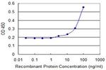 UBE2C Antibody in ELISA (ELISA)