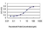 BVES Antibody in ELISA (ELISA)