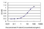 NUDT5 Antibody in ELISA (ELISA)