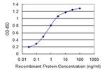 SUPT16H Antibody in ELISA (ELISA)