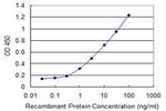 SUPT16H Antibody in ELISA (ELISA)