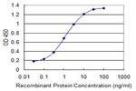 SUPT16H Antibody in ELISA (ELISA)