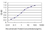 SCN11A Antibody in ELISA (ELISA)