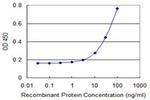 PHB2 Antibody in ELISA (ELISA)