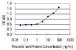 GABARAP Antibody in ELISA (ELISA)