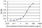 RAB18 Antibody in ELISA (ELISA)