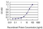 WDFY3 Antibody in ELISA (ELISA)