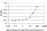 DAAM1 Antibody in ELISA (ELISA)