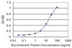 TNIK Antibody in ELISA (ELISA)