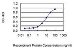 CLASP2 Antibody in ELISA (ELISA)