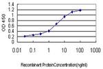 PLCL2 Antibody in ELISA (ELISA)