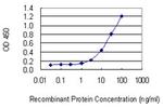 NEDD4L Antibody in ELISA (ELISA)