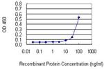 SASH1 Antibody in ELISA (ELISA)