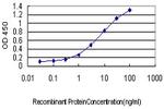 PUM2 Antibody in ELISA (ELISA)