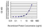 NCSTN Antibody in ELISA (ELISA)