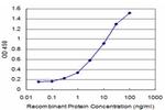 ATP13A2 Antibody in ELISA (ELISA)