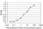 EXOSC2 Antibody in ELISA (ELISA)