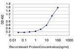 DICER1 Antibody in ELISA (ELISA)