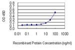 ABCA6 Antibody in ELISA (ELISA)