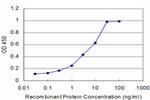 RBM9 Antibody in ELISA (ELISA)