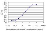 ORC3L Antibody in ELISA (ELISA)