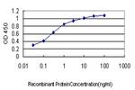 TSSK2 Antibody in ELISA (ELISA)