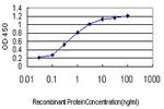 SH3BP4 Antibody in ELISA (ELISA)