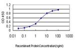 KCNE4 Antibody in ELISA (ELISA)