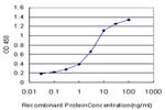 QPCT Antibody in ELISA (ELISA)