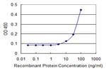 COG4 Antibody in ELISA (ELISA)