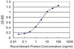 ABI3BP Antibody in ELISA (ELISA)