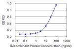 CLIP3 Antibody in ELISA (ELISA)