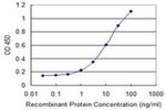 MOXD1 Antibody in ELISA (ELISA)