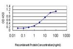 THEA Antibody in ELISA (ELISA)