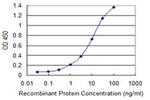 RAB11FIP5 Antibody in ELISA (ELISA)