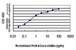 FGF21 Antibody in ELISA (ELISA)